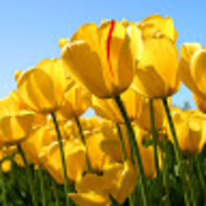 Meet your Posher, June